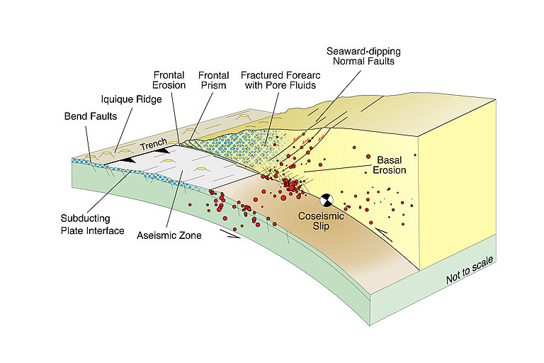 ´Conceptual model of the subduction zone of northern Chile based on the new data. Noticeable are the many shallow aftershocks (red dots) coastward of the actual main earthquake. Graphic: Florian Petersen from Petersen et al. (2021) in Geophysical Research Letters.