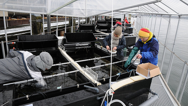 Die Kieler Outdoor Benthokosmen direkt am Ufer der Kieler Förde.