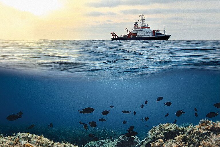 Collage aus Forschungsschiff über Korallenriff mit Fischen