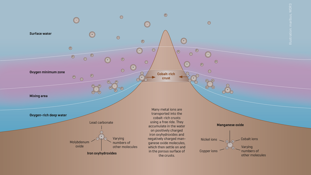 Formation of Cobalt-rich Crusts