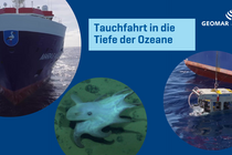 Ein Forschungsschiff von vorne, ein Tiefseekalmar und ein Tauchroboter sind im Bild dargestellt, Collage 