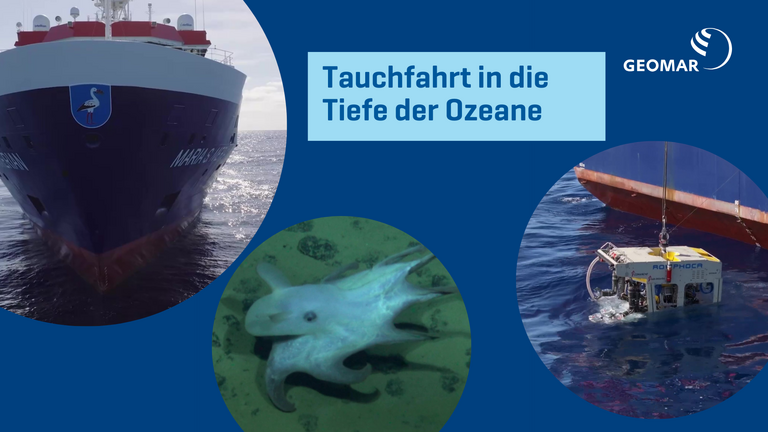Ein Forschungsschiff von vorne, ein Tiefseekalmar und ein Tauchroboter sind im Bild dargestellt, Collage 