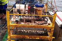 Gefunden. Am vergangenen Sonnabend barg die Crew des VWFS DENEB das vermisste Sensorgestell des Boknis-Eck-Observatoriums. Foto: Martin Steen/GEOMAR