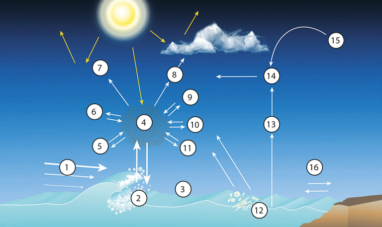 Quellen von Aerosolen in der Atmo­sphäre und atmosphärische Prozesse.