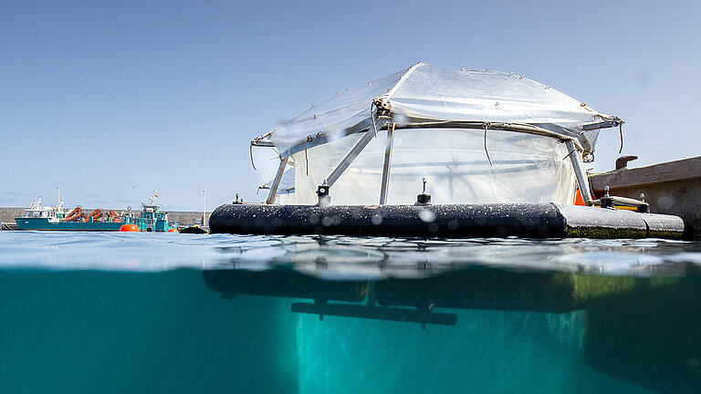 This photo taken during an experiment conducted at the island of Helgoland in 2023 shows the setup that is now also being used in the Kiel Fjord. 