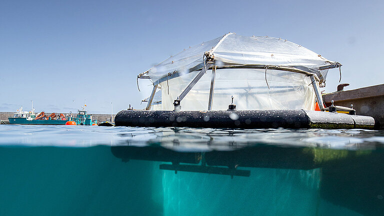 Mesokosmos auf Helgoland