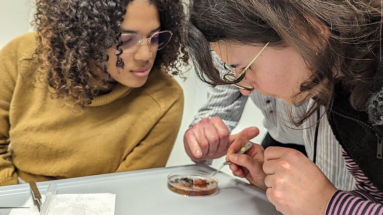 Studnets investigate algae in a petri dish at a lab.
