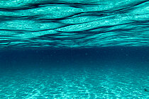 Die Wasseroberfläche von unten.