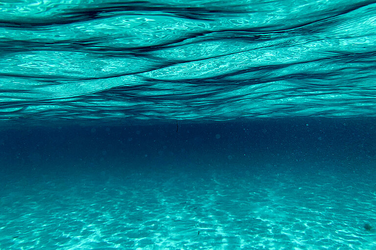 Die Wasseroberfläche von unten.