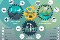Schematic diagram to Ocean & Human Health. From Franke et. al., 2020.