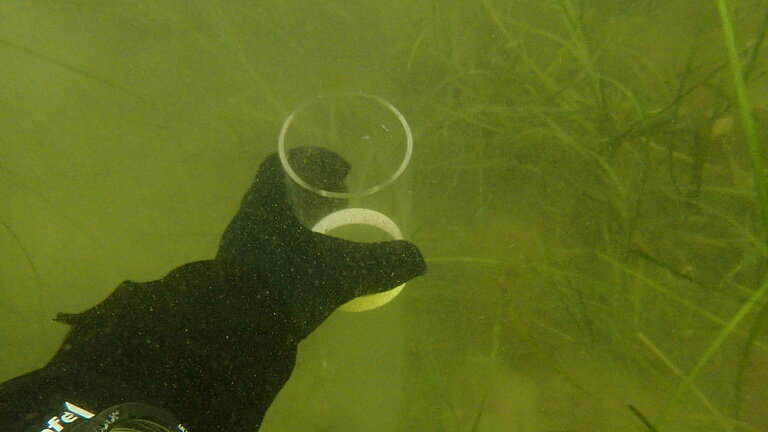 Unter Wasser: Von links ragt ein Arm mit einem schwarzen Handschuh ins Bild und hält ein Probenglas