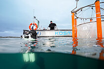 Forschungsarbeiten im Raunefjord, Norwegen