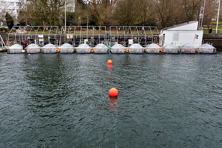 Die Mesokosmen an der Kiellinie während des Befüllens. 