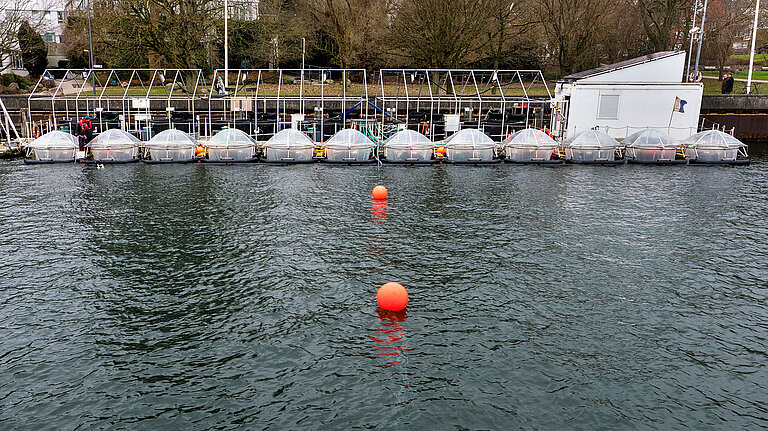 Filling the mesocosms