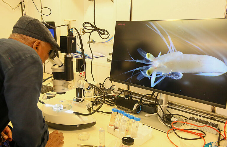 Ein dunkelhäutiger Mann mit einer Schiebermütze schaut durch ein Mikroskop. Auf einem Bildschirm ist das riesengroße Bild eines krabbenartigen Tieres zu sehen.