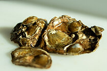 Austern liegen auf einem Schreibtisch