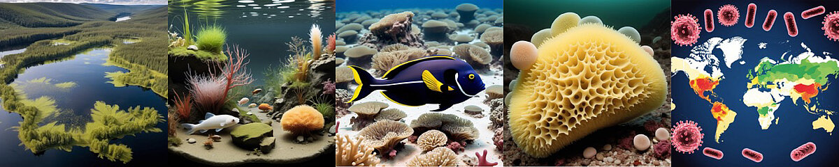 Aquatic microbial ecology