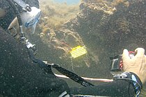  A scuba diver in front of a BlueDOT sensor