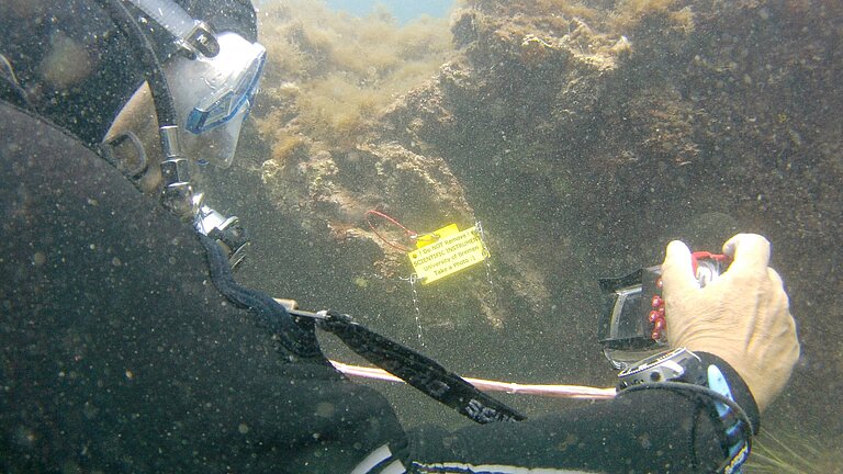  A scuba diver in front of a BlueDOT sensor