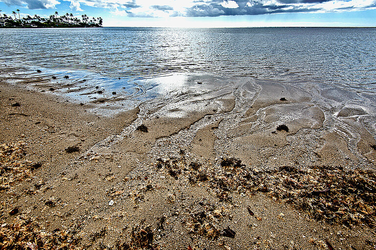 Groundwater seepage during a spring tide at Wailupe Beach Park beach on Oahu, Hawaii, USA. Photo: Jenny Bernier.