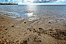 Grundwasseraustrittsstelle während einer Springtide am Wailupe Beach Park Strand auf Oahu, Hawaii, USA. Foto: Jenny Bernier.