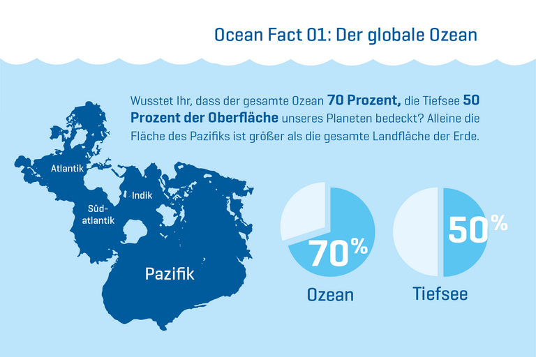 Wusstet Ihr, dass der gesamte Ozean 70 Prozent, die Tiefsee 50 Prozent der Oberfläche unseres Planeten bedeckt? Alleine die Fläche des Pazifiks ist größer als die gesamte Landfläche der Erde.