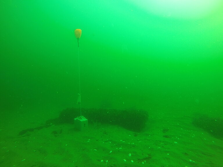 Munition am Ostseeboden. Foto: GEOMAR