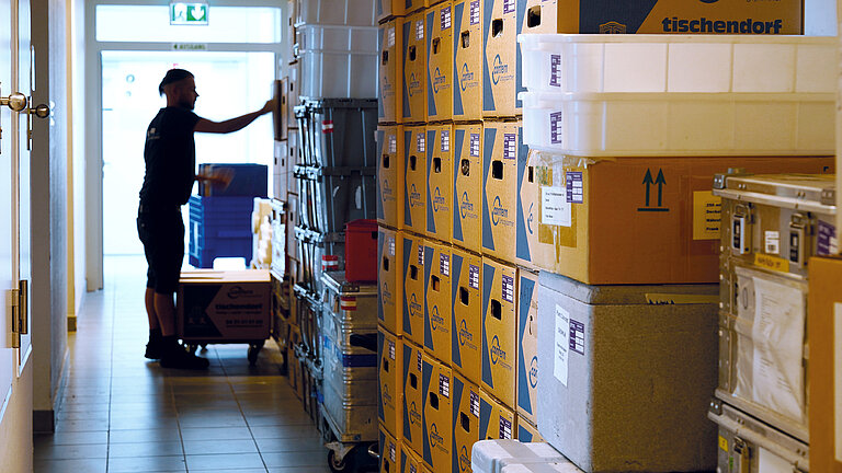 Die beschrifteten Umzugskisten und Boxen stehen am Westufer zur Abholung bereit.