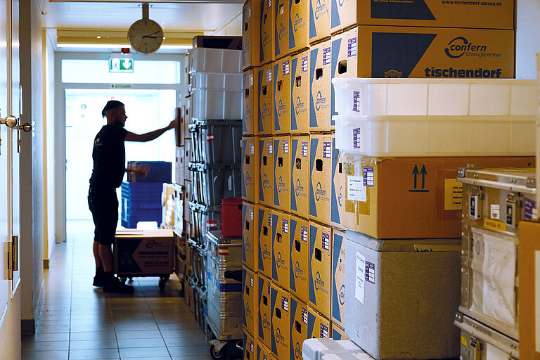 Umzug in den GEOMAR-Neubau im Herbst 2023. 