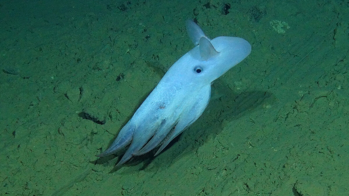 Teaser Mining Impact