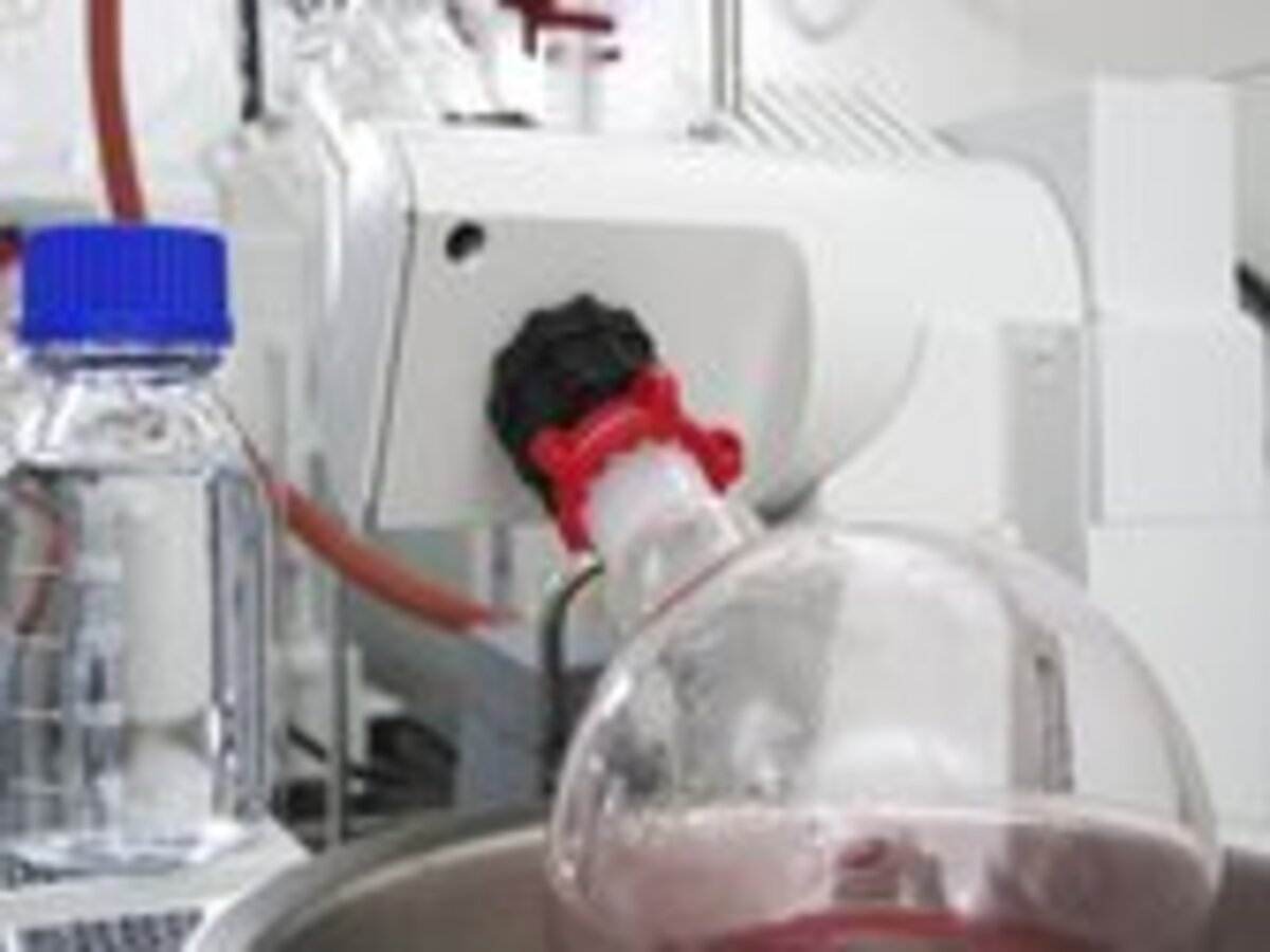 Marine Natural Products Chemistry - Prof. Dr. Deniz Tasdemir