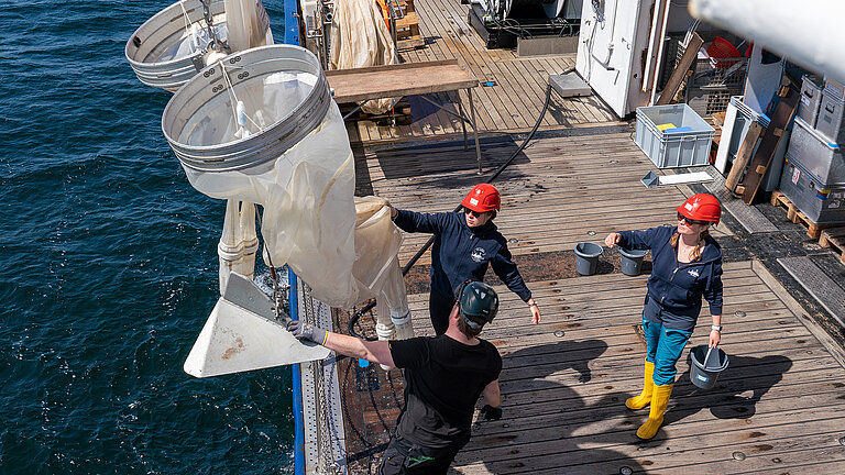 Foto ALKOR Expedition AL594 