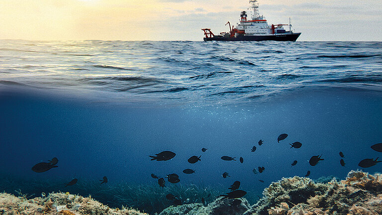 Visual Auftriebsgebiete