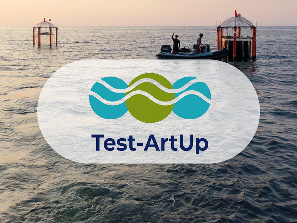 Teaser Projekt Test-ArtUp