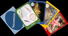 Icon VIRTUE-s Kartenspiel