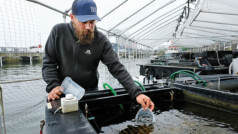 Kieler Outdoor Benthokosmen: Untersuchung der Wasser­qualität in einer Versuchskammer. 