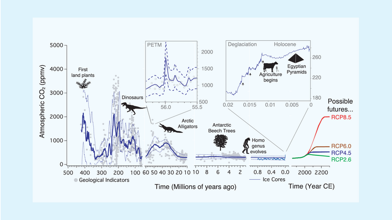 Veränderungen der atmosphärischen CO2-Konzentration der letzten 500 Millionen Jahre.