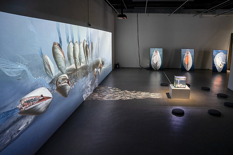 Begegnung mit Muscheln