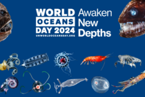 Claim World Oceans Day und Fotos von Tiefseeorganismen
