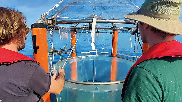 The special container with the water sample is pulled out of the mesocosm with a line. 