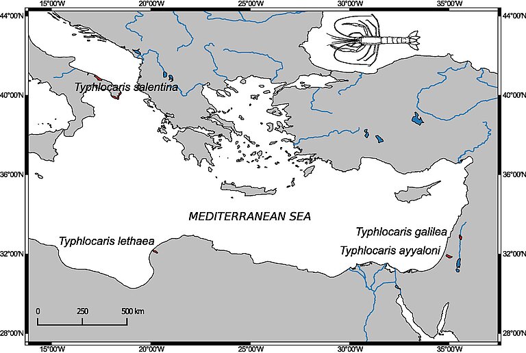 Typhlocaris – distribution map. Guy-Haim et al. (2018)