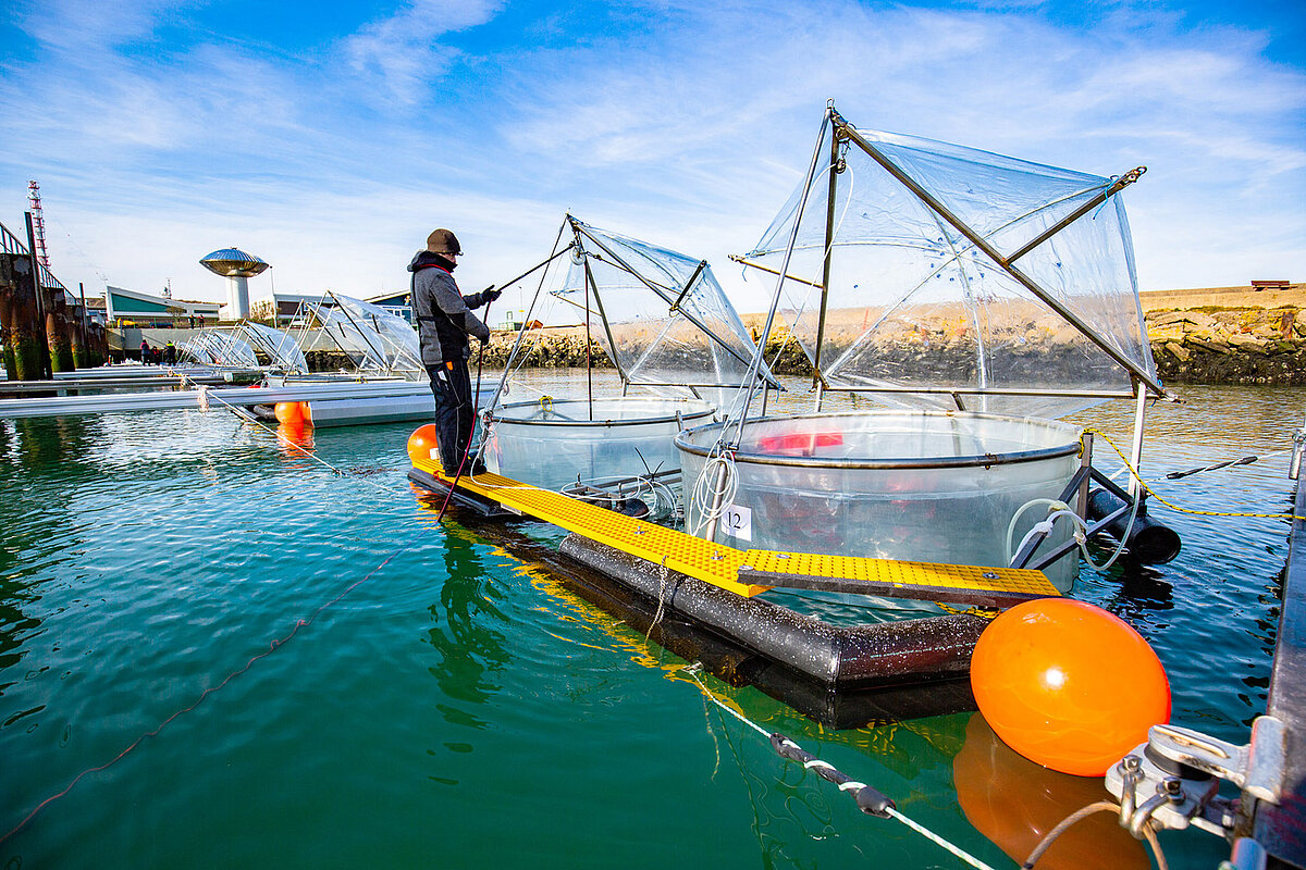 Teaser CDRmare Science Stories