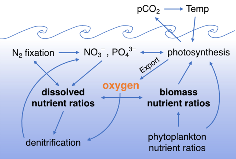 Eine Grafik mit Wellen für das Meer und Pfeilen für die Abhängigkeiten der Elemente