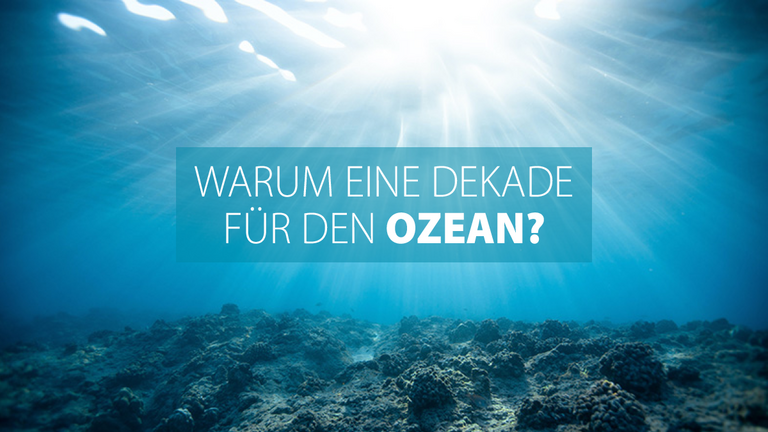 Introbild Ziele der Ozeandekade