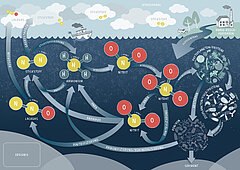Spielplan Stickstoffspiel