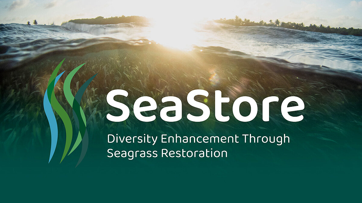 SeaStore Visual
