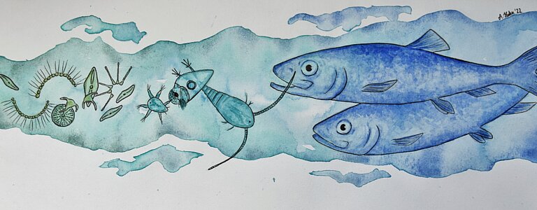 Aquarell-Zeichnung von Fischen und Ruderfußkrebsen