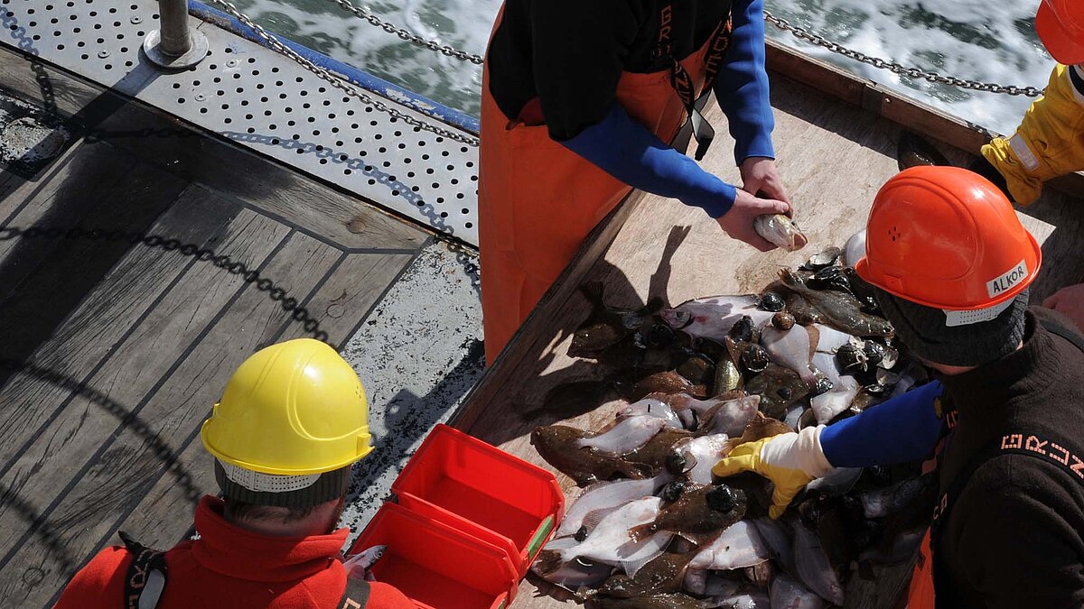 Visual Integrative Baltic Time Series Blog