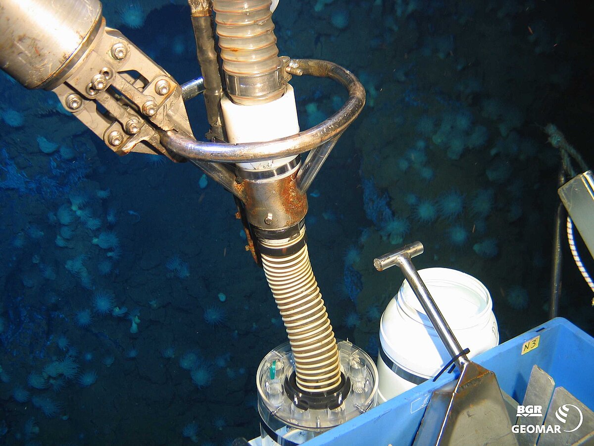 Beprobung planktonischer Larven mit Saugpumpe und Larventopf (3320 m).