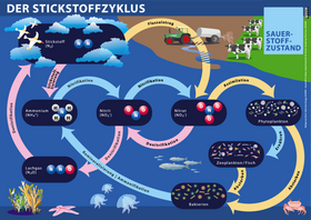 Spielplan Stickstoffspiel SFB 754